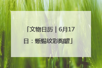 文物日历｜6月17日：蜥蜴纹彩陶罐