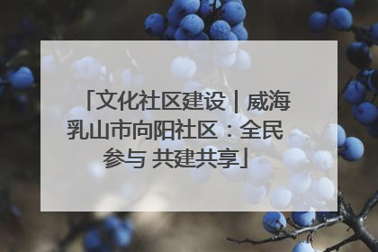 文化社区建设｜威海乳山市向阳社区：全民参与 共建共享