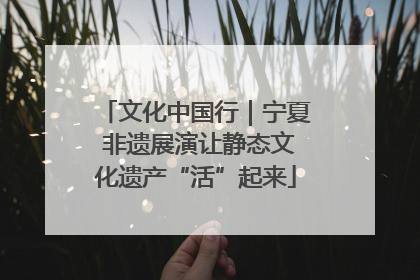 文化中国行｜宁夏 非遗展演让静态文化遗产“活”起来