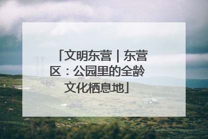 文明东营｜东营区：公园里的全龄文化栖息地