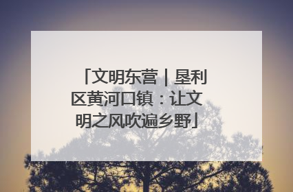 文明东营｜垦利区黄河口镇：让文明之风吹遍乡野