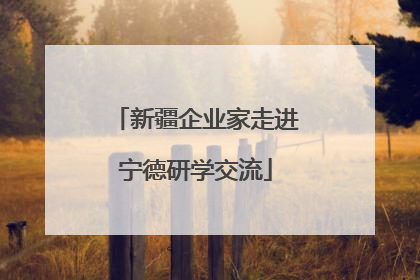 新疆企业家走进宁德研学交流