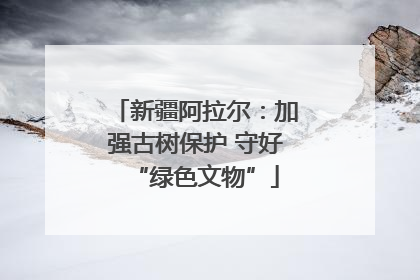 新疆阿拉尔：加强古树保护 守好“绿色文物”