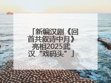 新编汉剧《回首共叙诗中月》亮相2025武汉“戏码头”