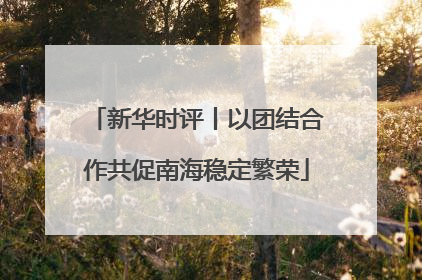 新华时评丨以团结合作共促南海稳定繁荣