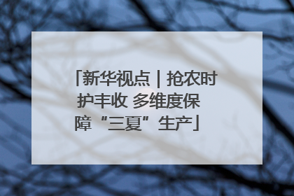 新华视点｜抢农时 护丰收 多维度保障“三夏”生产