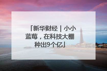 新华财经｜小小蓝莓，在科技大棚种出9个亿