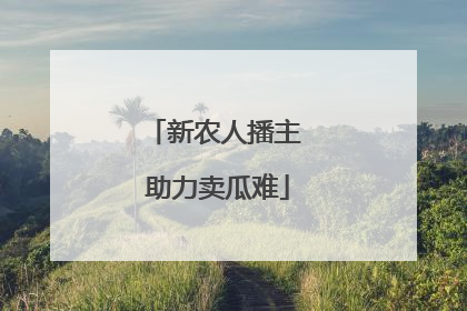 新农人播主 助力卖瓜难