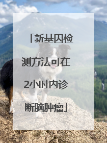 新基因检测方法可在2小时内诊断脑肿瘤