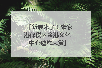 新展来了！张家港保税区金港文化中心邀您来赏