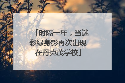 时隔一年，当迷彩绿身影再次出现在丹克茂学校