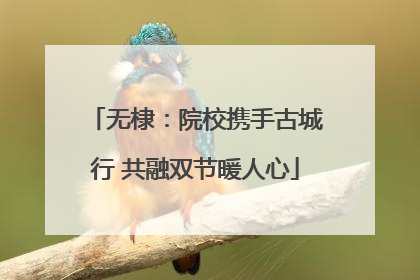 无棣：院校携手古城行 共融双节暖人心