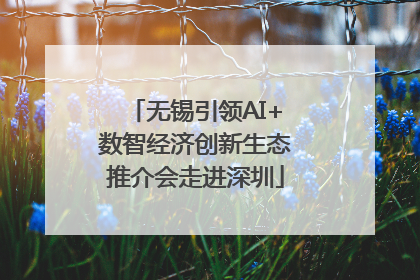 无锡引领AI+数智经济创新生态推介会走进深圳