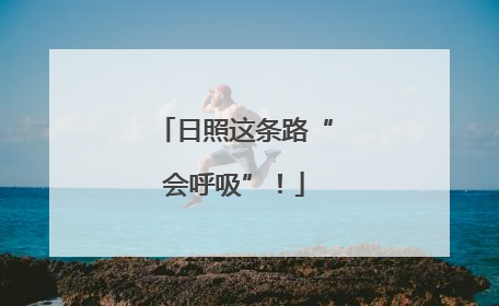 日照这条路“会呼吸”！