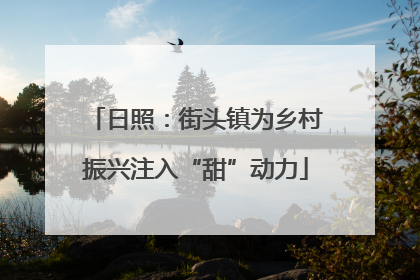 日照：街头镇为乡村振兴注入“甜”动力