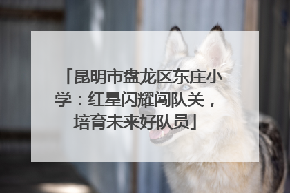 昆明市盘龙区东庄小学：红星闪耀闯队关，培育未来好队员