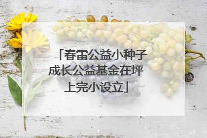 春雷公益小种子成长公益基金在坪上完小设立