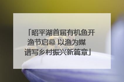 昭平湖首届有机鱼开渔节启幕 以渔为媒 谱写乡村振兴新篇章