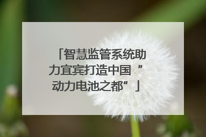 智慧监管系统助力宜宾打造中国“动力电池之都”