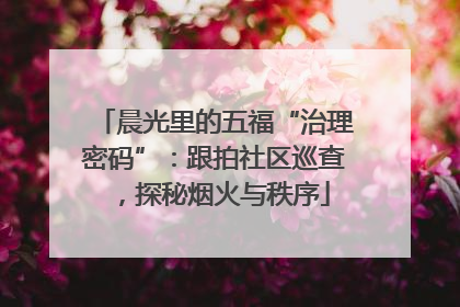 晨光里的五福“治理密码”：跟拍社区巡查，探秘烟火与秩序