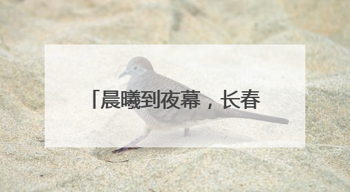 晨曦到夜幕，长春这条高速建设现场长鸣“奋进曲”