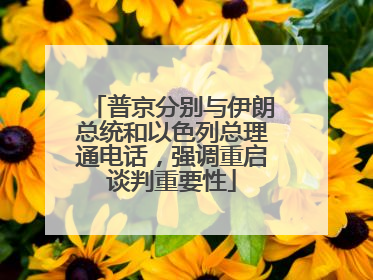 普京分别与伊朗总统和以色列总理通电话，强调重启谈判重要性
