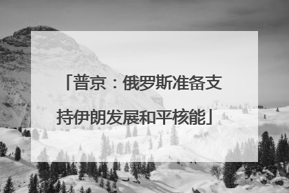 普京：俄罗斯准备支持伊朗发展和平核能
