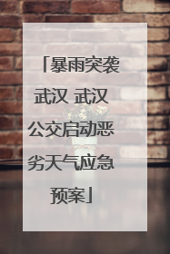 暴雨突袭武汉 武汉公交启动恶劣天气应急预案