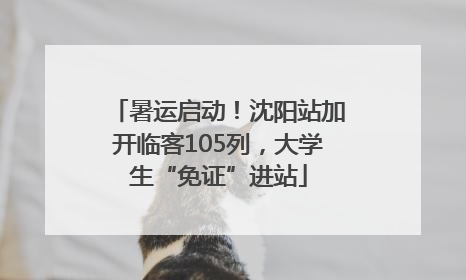 暑运启动！沈阳站加开临客105列，大学生“免证”进站