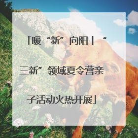 暖“新”向阳丨“三新”领域夏令营亲子活动火热开展