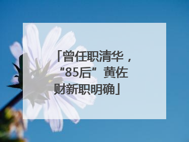 曾任职清华，“85后”黄佐财新职明确