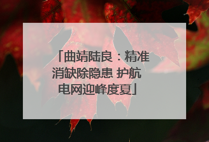 曲靖陆良：精准消缺除隐患 护航电网迎峰度夏