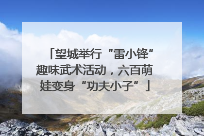 望城举行“雷小锋”趣味武术活动，六百萌娃变身“功夫小子”