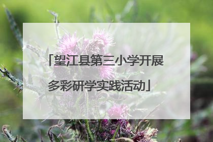 望江县第三小学开展多彩研学实践活动