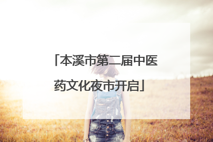 本溪市第二届中医药文化夜市开启
