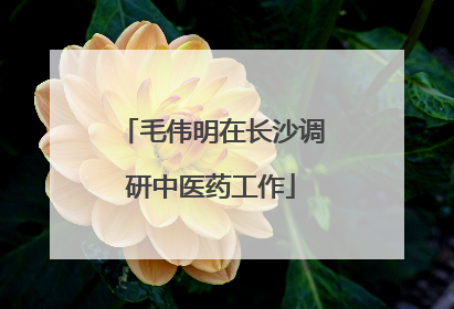 毛伟明在长沙调研中医药工作