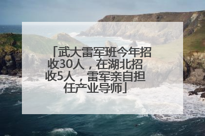 武大雷军班今年招收30人，在湖北招收5人，雷军亲自担任产业导师
