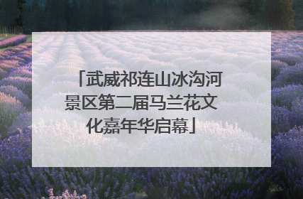 武威祁连山冰沟河景区第二届马兰花文化嘉年华启幕
