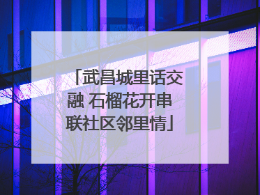 武昌城里话交融 石榴花开串联社区邻里情