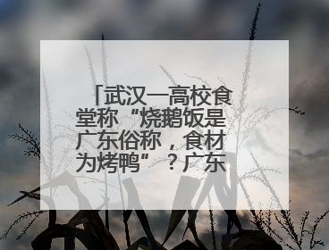 武汉一高校食堂称“烧鹅饭是广东俗称，食材为烤鸭”？广东多家烧鹅店：鸭是鸭鹅是鹅