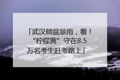 武汉倾盆暴雨，看！“柠檬黄”守在8.5万名考生赶考路上