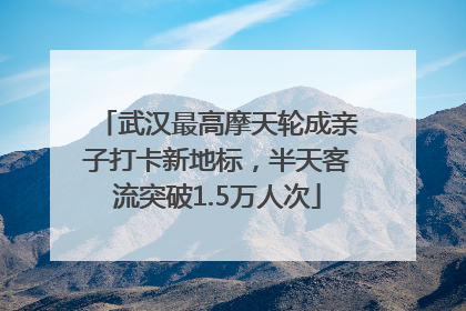 武汉最高摩天轮成亲子打卡新地标，半天客流突破1.5万人次