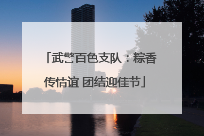 武警百色支队：粽香传情谊 团结迎佳节