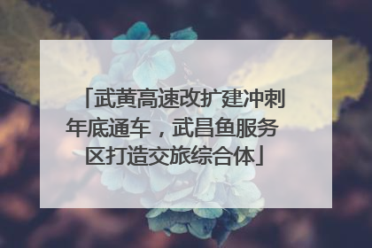 武黄高速改扩建冲刺年底通车，武昌鱼服务区打造交旅综合体