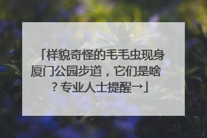 样貌奇怪的毛毛虫现身厦门公园步道，它们是啥？专业人士提醒→