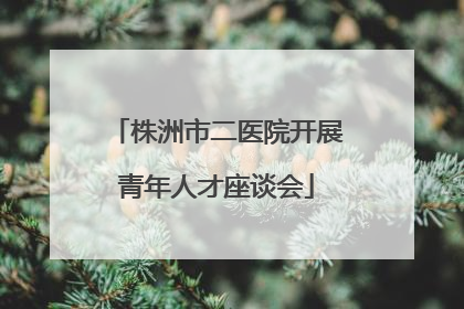 株洲市二医院开展青年人才座谈会