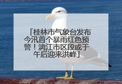 桂林市气象台发布今汛首个暴雨红色预警！漓江市区段或于午后迎来洪峰