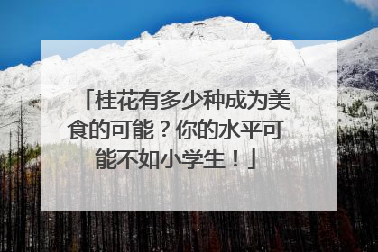 桂花有多少种成为美食的可能？你的水平可能不如小学生！