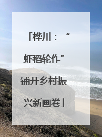 桦川：“虾稻轮作”铺开乡村振兴新画卷