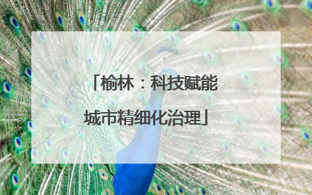 榆林：科技赋能城市精细化治理